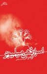 کتاب اسرار ذهن میلیونر نوشته  تی هارواکر  زینب لامعی